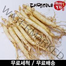 금산인삼 오쿠용 1회분 세척 인삼 수삼 난발 원삼(250g), 1개, 원삼 10~13뿌리(250g)