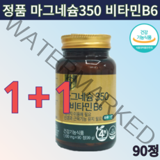 건강기능식품 마그비 비타민하우스 마그네슘350 아연 셀렌 크롬 비타민 B6 이산화규소 없는 미네랄 부모님 30대 40대 50대 영양제 2개