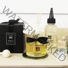 에떼 오드우드 차량용 고급디퓨저 100ml B05, J아이리스