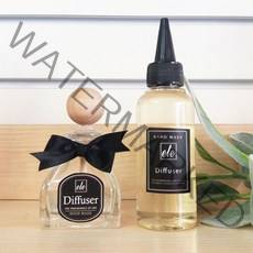 에떼 오드우드 Type 차량용 디퓨저 100ml B12, C-NO5