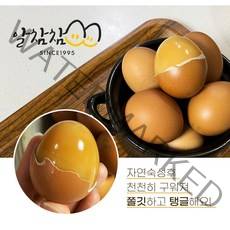 파손보상 알참참 HACCP인증 구운계란 (대란), 2판 (60구)