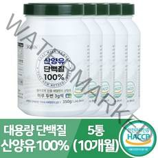 시그니온 프리미엄 산양유단백질 분말 100% 식약처인증 온가족 프로틴 영양식 추천 사은품 증정, 5개