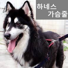 하네스 쿠팡단독! 데님 스타일 초소형견~초대형견 가슴줄, 1개
