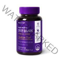뉴트리디데이 잔티젠 올뉴 600 15g, 1개, 30정