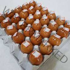 참나무촌 HACCP인증 무염훈제계란, 30개입, 1.2kg(한판)