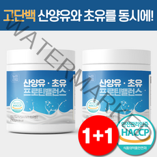 산양유 단백질 분말 초유 단백질 100% 식약처 HACCP 뉴트라업, 1+1 (총2통)