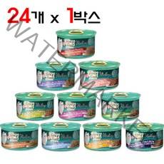 팬시피스트 엘레강트 메들리파테 고양이캔 프리마베라 치킨, 85g, 24개입