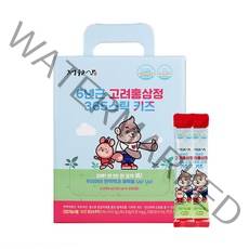 정원삼 6년근 고려홍삼정 365스틱 키즈, 10ml, 100개