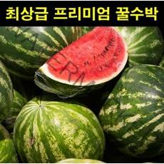 고씨네 특급 수박 3KG 애플수박 국내산수박 망고수박