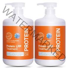 박준뷰티랩 LPP 단백질 트리트먼트 헤어팩, 1000ml, 2개