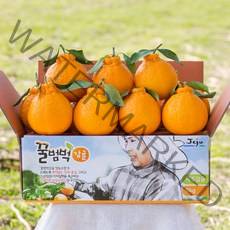 [제주직송] 완전설탕 꿀범벅 제주한라봉 2.5kg 중과(9-11)-고당도추천