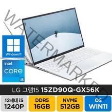 LG전자 2023년형 그램15 15ZD90Q 15ZD95Q-GX56K 노트북, 15ZD90Q-GX56K, WIN11 Pro, 16GB, 512GB, 코어i5, 화이트