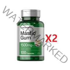 호바흐 매스틱 검 메스틱 1500mg 100캡슐 2개