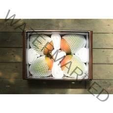 왕망고 추석선물세트 제주 고당도 백화점 납품 최상품 중대과 3kg 과일 산지직송 킹망고, 고급 보자기 포장, 3수