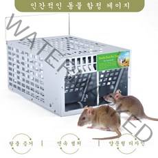 최신 형 쥐덫 쌍문쥐장 쥐의 쥐틀 덫