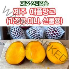 산지직송 제주 애플망고 미니애플망고 1kg 3kg 가정용 선물용 대 특대 왕특대, 가정용_미니애플망고_3kg_왕