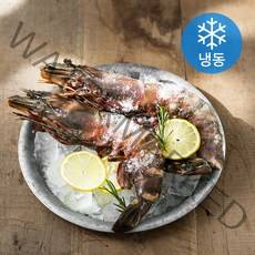 세웅 킹블랙 타이거 새우 (냉동), 480g(2미), 1개