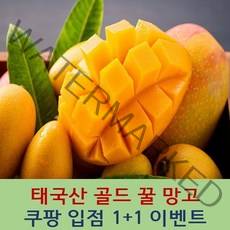 [1+1 증정] 태국산 꿀 망고 태국망고 열대과일 제철과일 망고선물세트 수입과일 망고빙수 애플망고 제주애플망고 애플망고선물세트 제주망고 제주도애플망고 제주왕망고 무지개망고 스미후루, 태국 남독마이 골드망고, 2.5kg+2.5kg