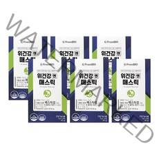 프롬바이오 위건강엔 매스틱 3g x 15포 x 6박스/b