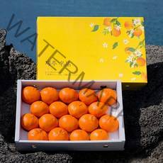 [품질보증] 인하네 제주 레드향 3kg 5kg 10kg 과일 선물 세트, 1box, 레드향_5kg_가정용(중향)