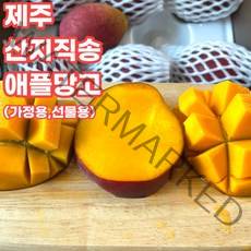 제주직송 제주 애플망고 미니애플망고 가정용 선물용 1kg 3kg 대 특 특상, 가정용_미니애플망고_3kg_왕