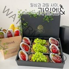 과일엔 항공직송 프리미엄 고당도 애플망고 태국망고 샤인머스켓 과일 선물세트, 샤인머스캣 애플망고 둘둘세트, 샤인머스캣 2 애플망고 2
