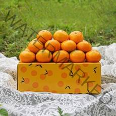 제주감귤, 5kg(랜덤과), 1박스