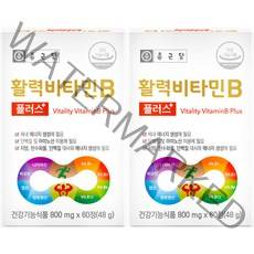 종근당 활력비타민B 플러스, 60정, 2박스