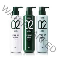 (1+1) 아모스프로페셔널 녹차실감 샴푸 500g 센시티브/리프레시/모이스트 옵션선택가능, 부드러운 타입(센시티브) 2개