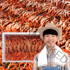 먹사부 산지직송 홍게 3kg 구룡포 연지 홍게 자숙 홍게 라면용 육수용 일반형 고급형 홍게 다리살 10~12마리 수율 택배, 1 자숙홍게 보급형(10마리)