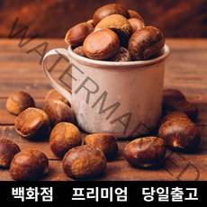 [특등급] 밤 500g 공주밤 햇밤 옥광밤 약밤 군밤만들기 약단밤 칼집약단밤 칼집밤 군밤 밤도매 공주알밤 공주옥광밤 공주정안밤 정안밤 생밤 밤나무 생율밤 밤구매 맛밤 생율충주밤, 1