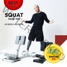 숀리 올인원 스쿼트 머신 FS 하체 허벅지 힙업 운동 기구 자세 헬스 전신, 화이트