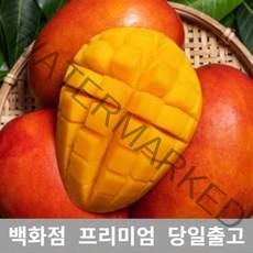 애플망고 4.5kg 애플망고 쥬스 대용량 과일 열대 망고, 1, 본상품선택