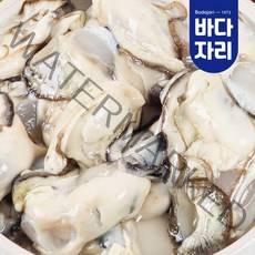 통영 산지직송 당일손질 생굴 깐굴 석화 통영굴 돌굴 냉동굴, 냉동굴 600g