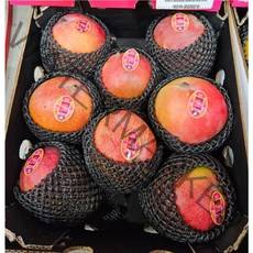 온어프레시 프리미엄 애플망고 당도선별 특대 2kg/4kg, 애플망고 특대 2kg(4-5과)