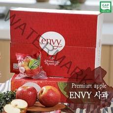 ENVY 세척사과 중소사이즈 (2.2kg/4.4kg), 4.4kg