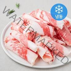 곰곰 미국산 차돌박이 (냉동), 500g, 1개