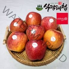 브랜드없음 식탐대첩 가정용 흠집 엔비사과 10kg 중과 과수랜덤, 단품없음