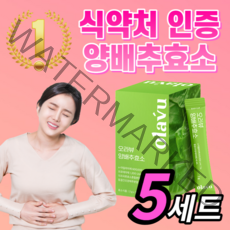 * 60만 역가수치 * 유기농 양배추효소 양배추 분말 가루 환 추출물 스틱 파우더 탄수화물 분해 효소 고소한 담백한 맛 플러스 락토바실러스 국내산 국산 15 곡물 라풀굿알약케이스, 양배추효소 5세트