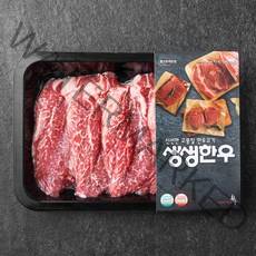 생생한우 1등급 안심 구이용 (냉장), 200g, 1개