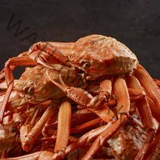 농가살리기 붉은대게 자숙홍게 대게 홍게 영덕 국내산 1.7kg 3kg 3.5kg 골라담기, [실속형] 후포항 찜 붉은대게 8~12마리 3kg 내외, 1개