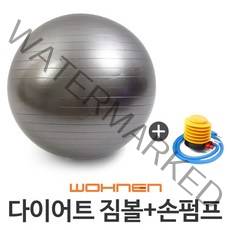 WOHNEN 다이어트짐볼, 짐볼(은색)65cm(펌프O)