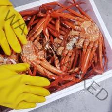 포항 구룡포 자숙 살통통 맛있는 홍게, 해각포(홍게다리포)40g+40g