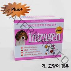 인트라젠 플러스 plus 스틱 2gx30p 고양이영양제 소형견영양제 강아지종합영양제 애견용유산균 치와와영양제[SN:08+_na], 단일▷, 단일▷