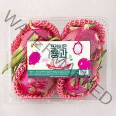 [쿠팡수입] 프레시몬 용과 4입, 1박스, 1.6kg