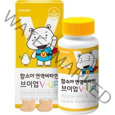 함소아 면역 비타민 브이업 1000mg, 1개, 90정