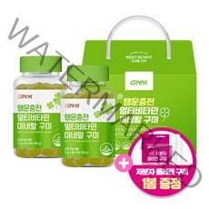 GNM 행운충전 멀티비타민 미네랄 구미 선물세트 (총 2개월분) / 구미젤리 1봉 증정, 2병, [구미젤리 1봉 증정] 60구미