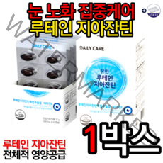 유한양행 유한 루테인 지아잔틴 500mg x 60캡슐 눈영양제 눈 노화 항반변성 눈에좋은음식 루테인효능 눈에좋은영양제 시력에좋은음식 제아잔틴 누테인 마리골드 알약케이스, 1박스, 특가할인