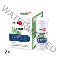 종근당건강 락토핏 솔루션 1 둔감한 장, 50정, 2개