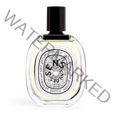 DIPTYQUE EAU DES SENS 딥티크 오데썽 오 드 뚜왈렛 프랑스 니치 향수 100ml